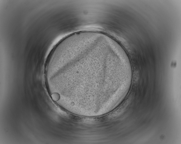 X0000099461470200805301524