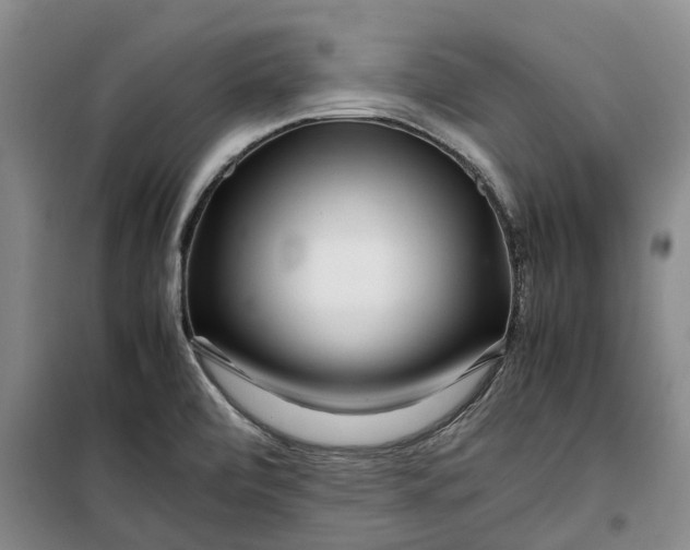 X0000099461472200805301524