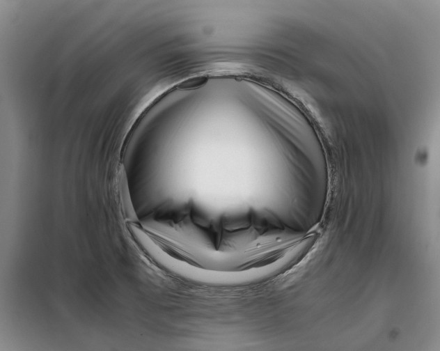 X0000099461473200805301524