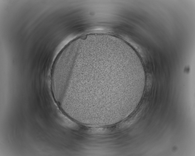 X0000099461474200805301524