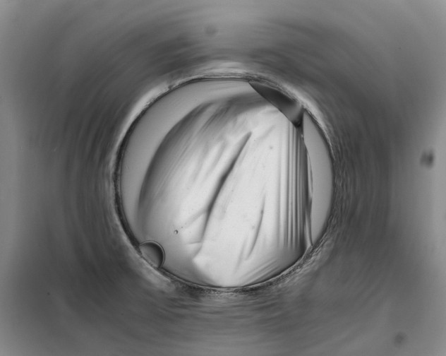 X0000099461475200805301524