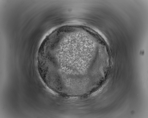 X0000099461477200805301524