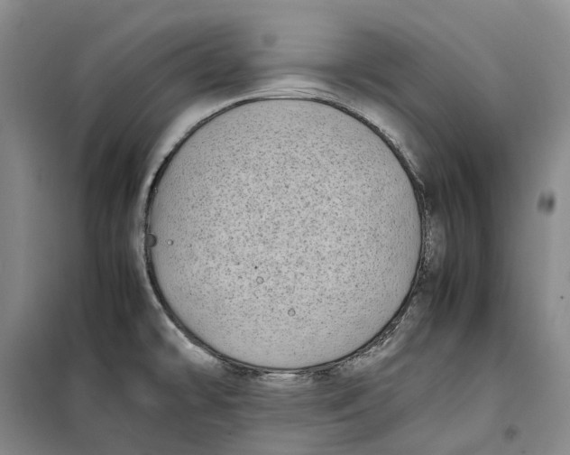 X0000099461478200805301524