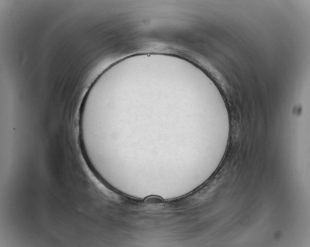 X0000099461479200805301524