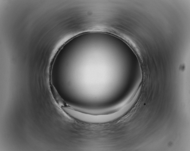 X0000099461480200805301524