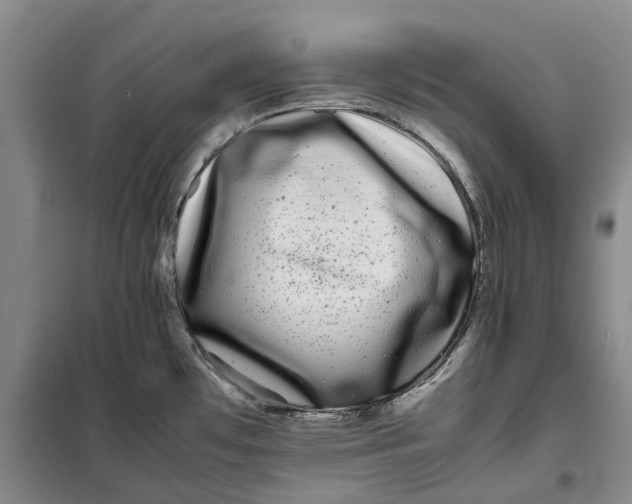 X0000099461481200805301524