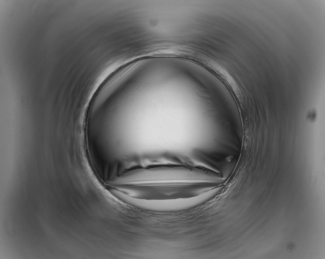 X0000099461483200805301524