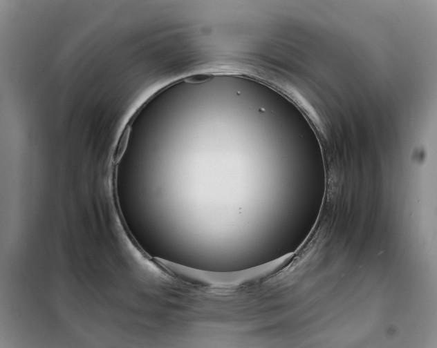 X0000099461484200805301524