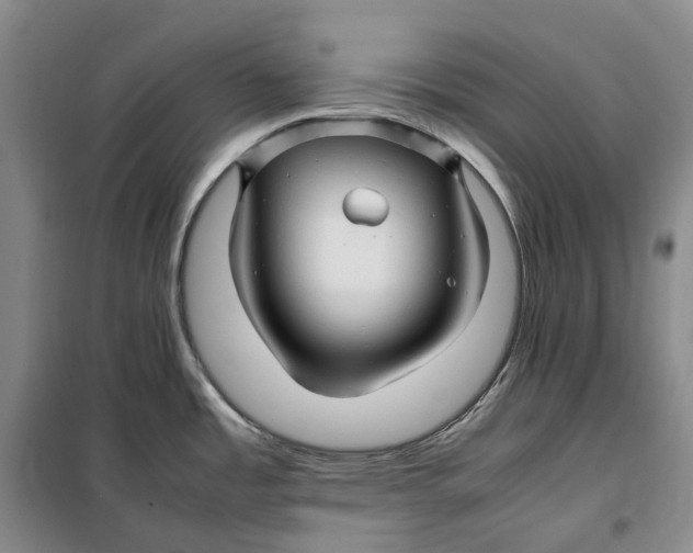 X0000099461485200805301523