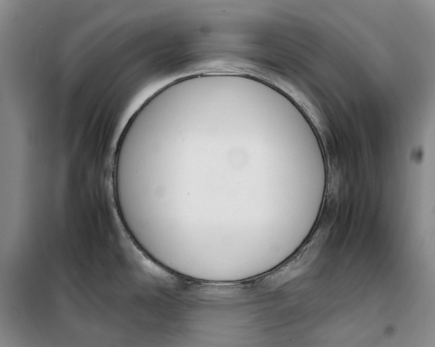 X0000099461486200805301523