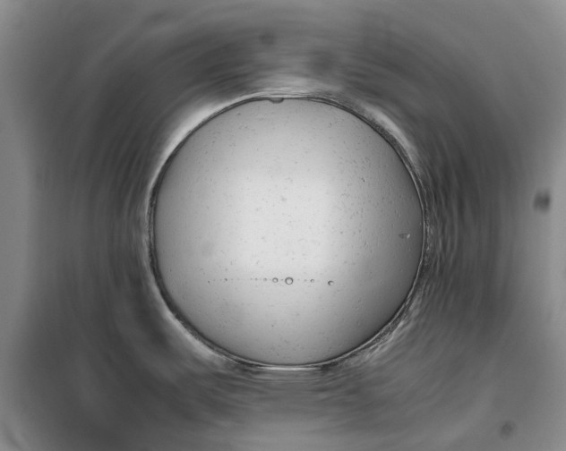 X0000099461487200805301523