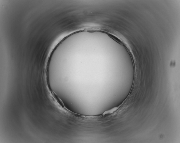 X0000099461488200805301523