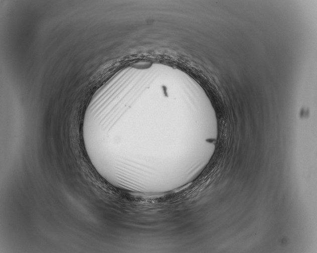 X0000099461489200805301523