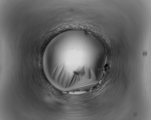 X0000099461490200805301523