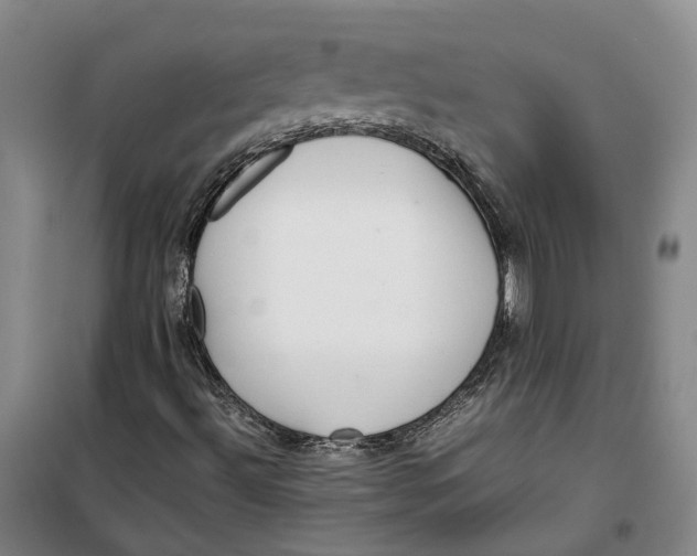 X0000099461492200805301523