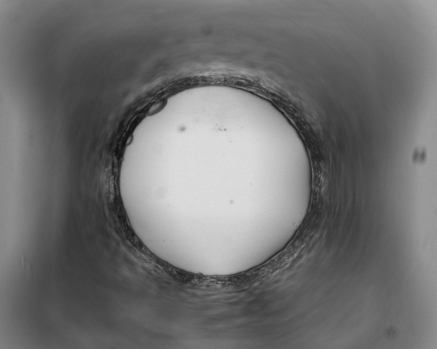 X0000099461493200805301523