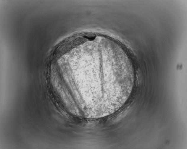 X0000099461494200805301523