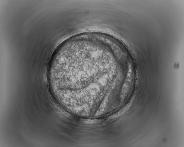 X0000099461497200805301523