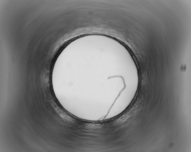 X0000099461499200805301523