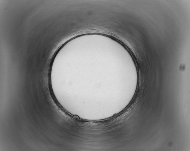 X0000099461500200805301523