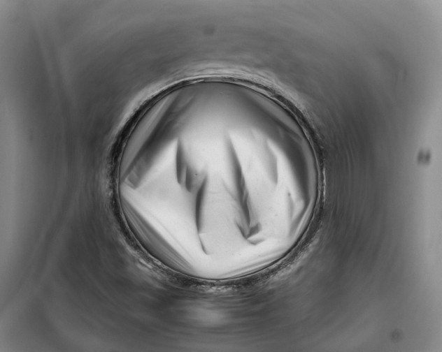 X0000099461501200805301523