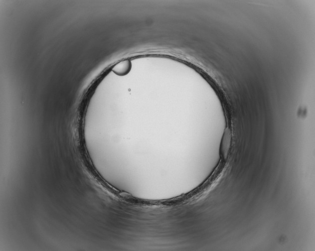 X0000099461502200805301523