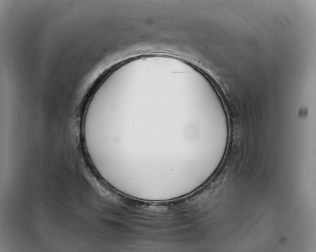 X0000099461503200805301523