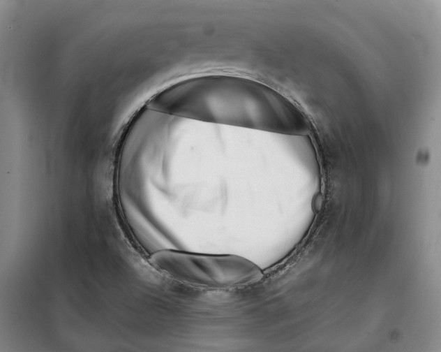 X0000099461504200805301523