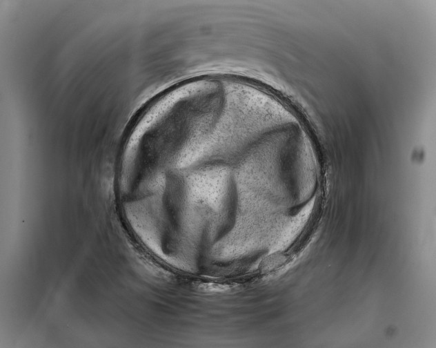 X0000099461505200805301523