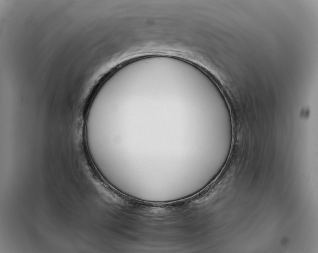 X0000099461507200805301523