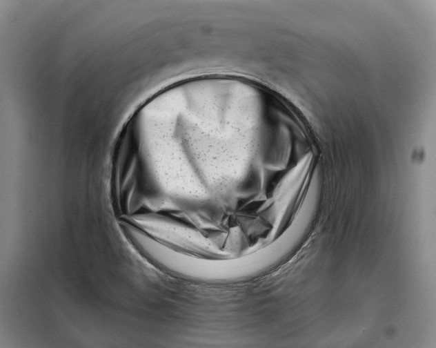 X0000099461508200805301523