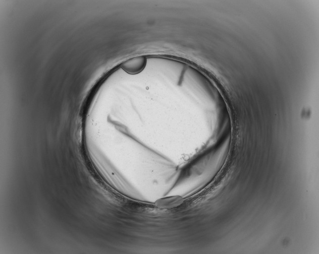 X0000099461509200805301523