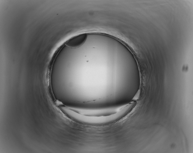 X0000099461510200805301523