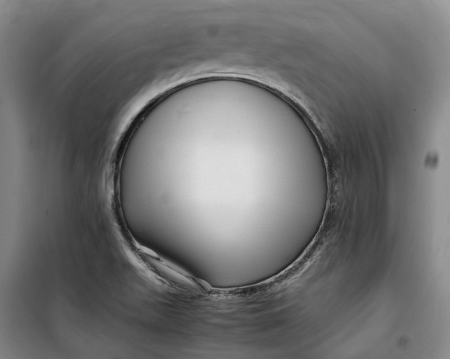 X0000099461511200805301523