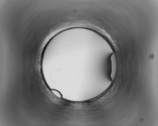 X0000099461512200805301523