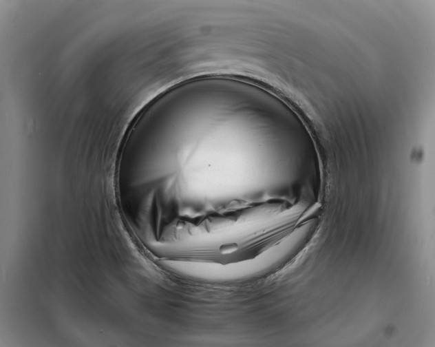 X0000099461513200805301523