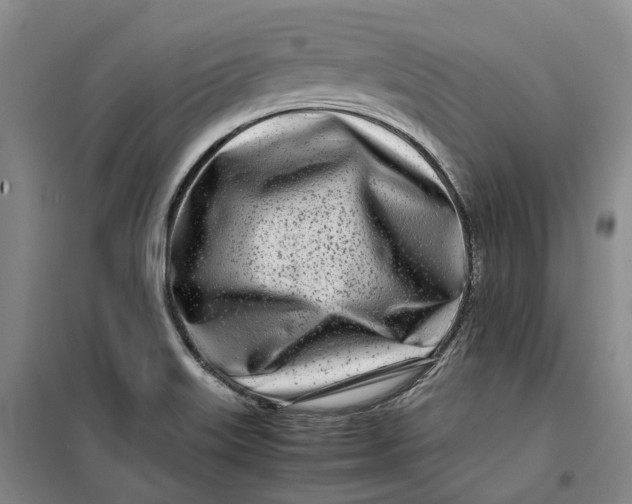 X0000099461515200805301523