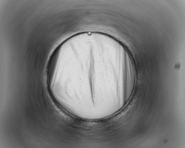 X0000099461517200805301523