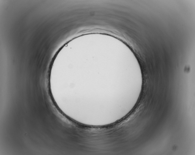 X0000099461518200805301523