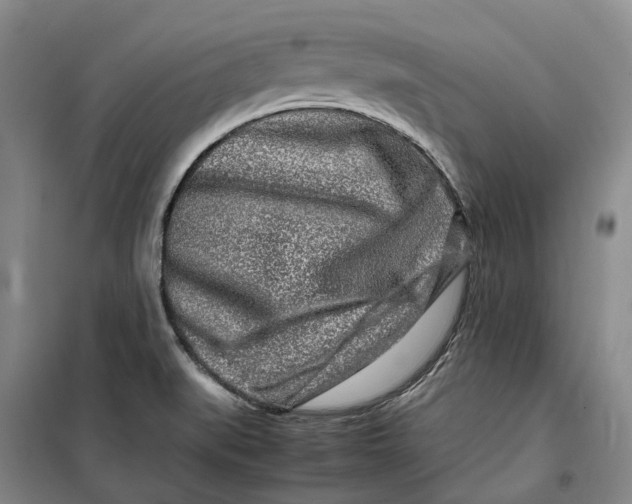 X0000099461519200805301523