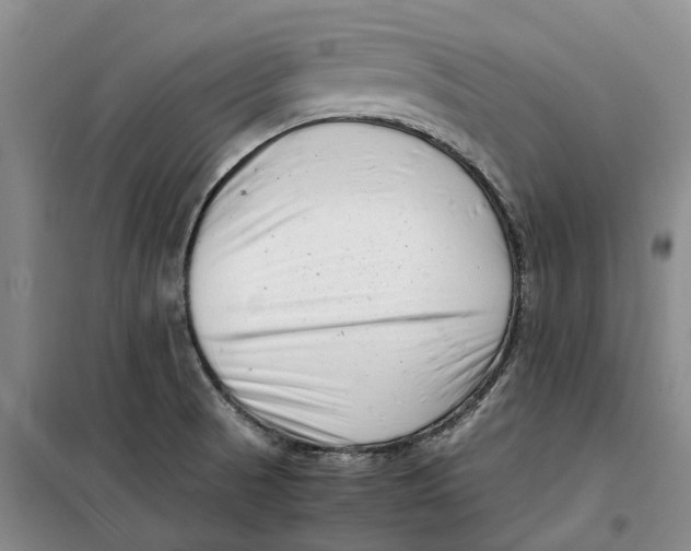 X0000099461521200805301523