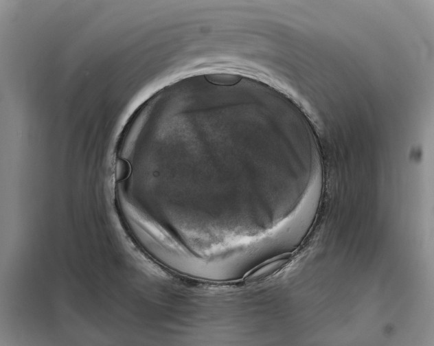 X0000099461522200805301523