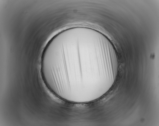 X0000099461523200805301523