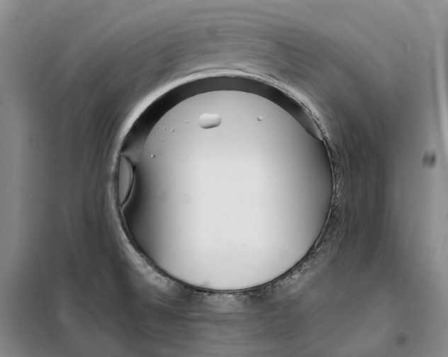 X0000099461524200805301523