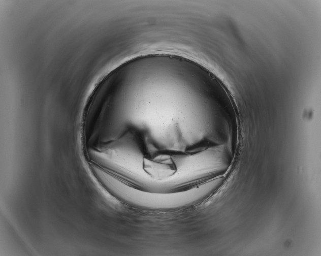 X0000099461525200805301523