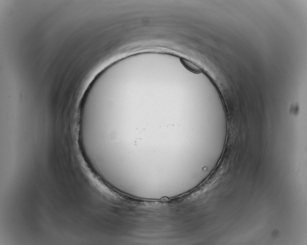 X0000099461526200805301523