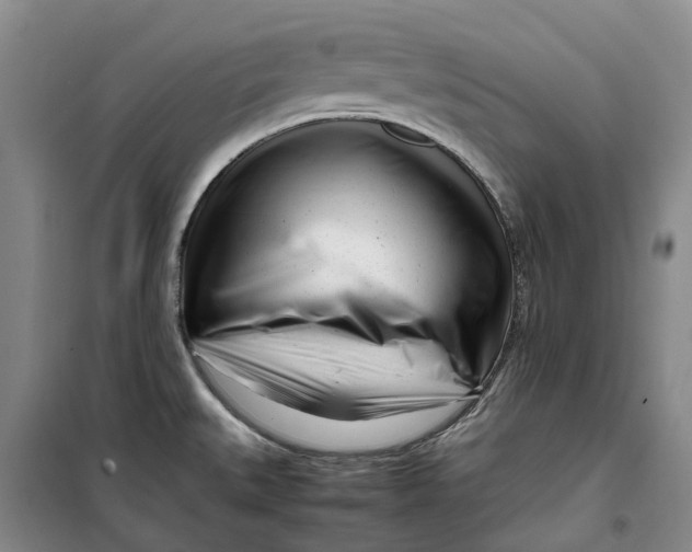 X0000099461527200805301523