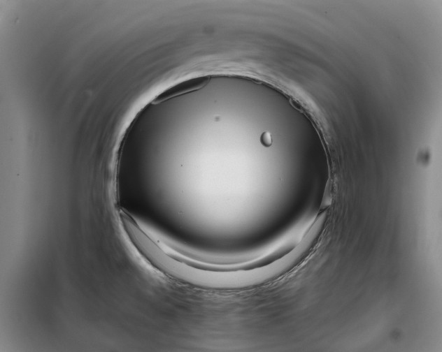 X0000099461528200805301523