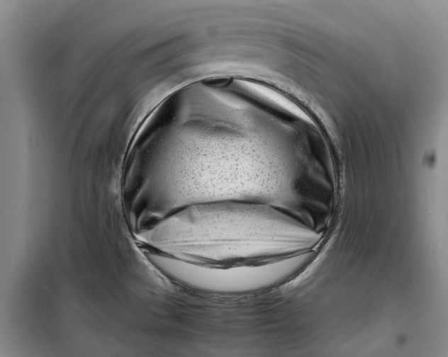 X0000099461529200805301523