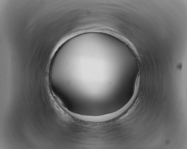 X0000099461530200805301523